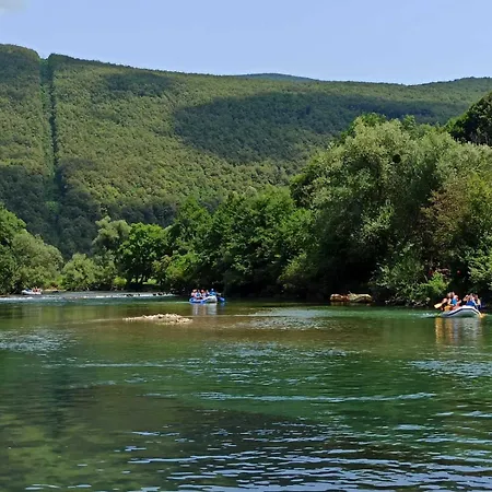 Bosana