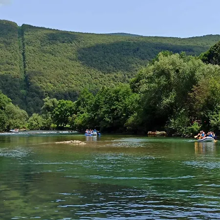 Bosana