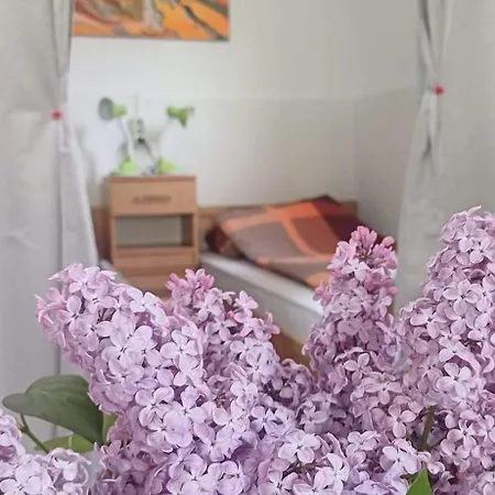 Bosana * Kulen Vakuf